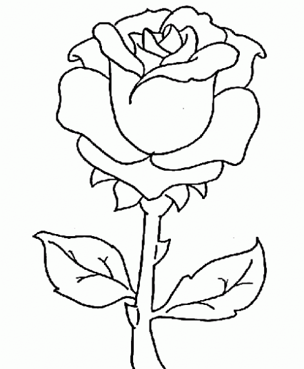 Dibujos de flores para colorear