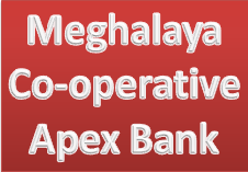 Meghalaya Cooperative Apex Bank Recruitment Meghalaya Cooperative Apex Bank Recruitment