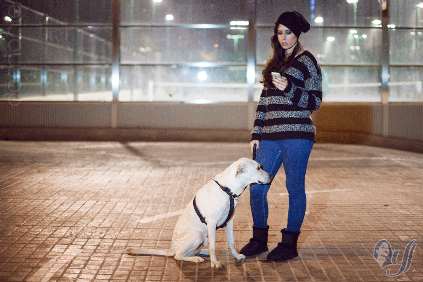 Let´s go for a walk Y si la cosa funciona