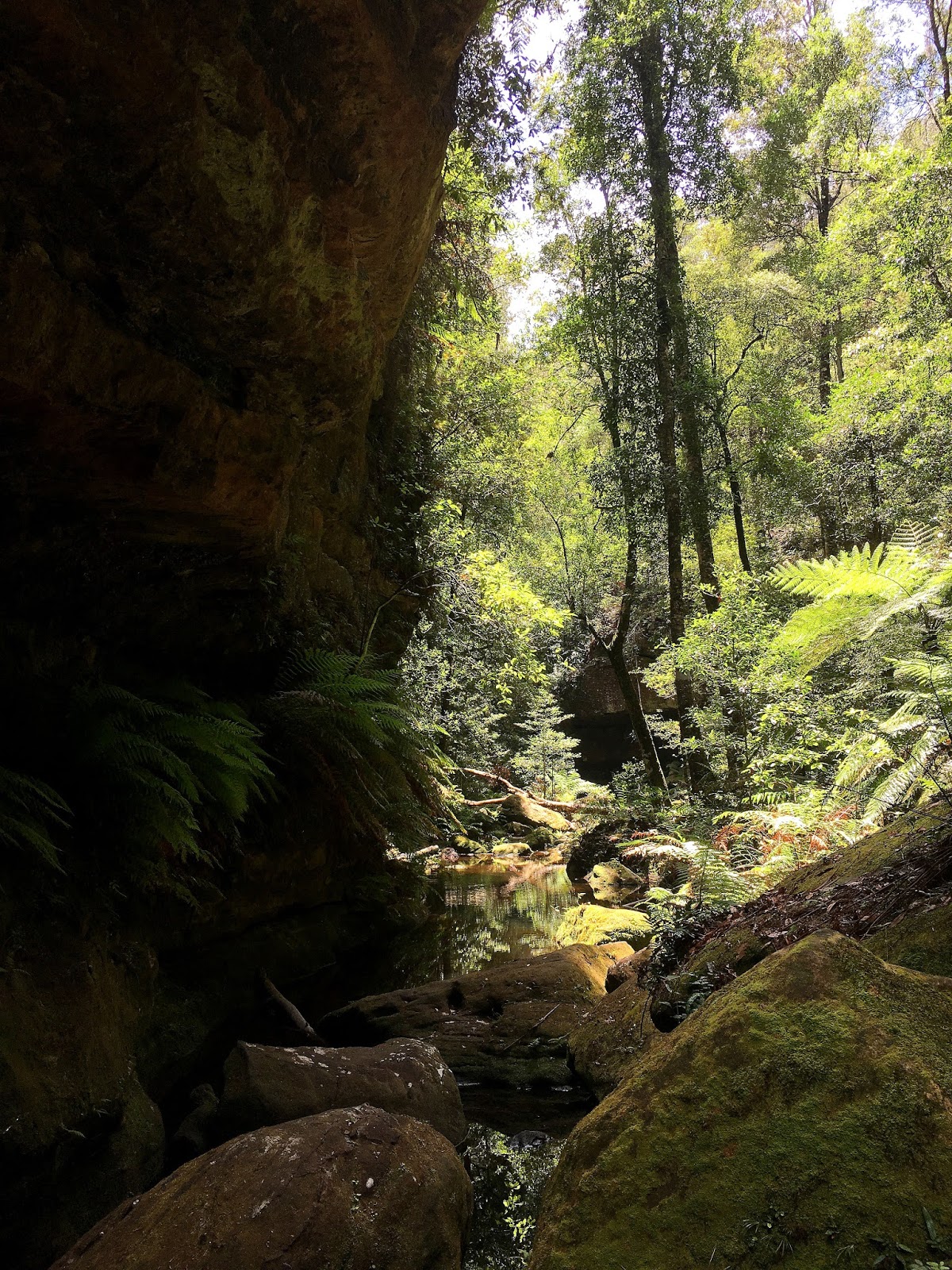 Hiking solo the Grand Canyon in Australia's Blue Mountains has been one of the greatest adventures. With breathtaking views and endless stairs, come and find out more!