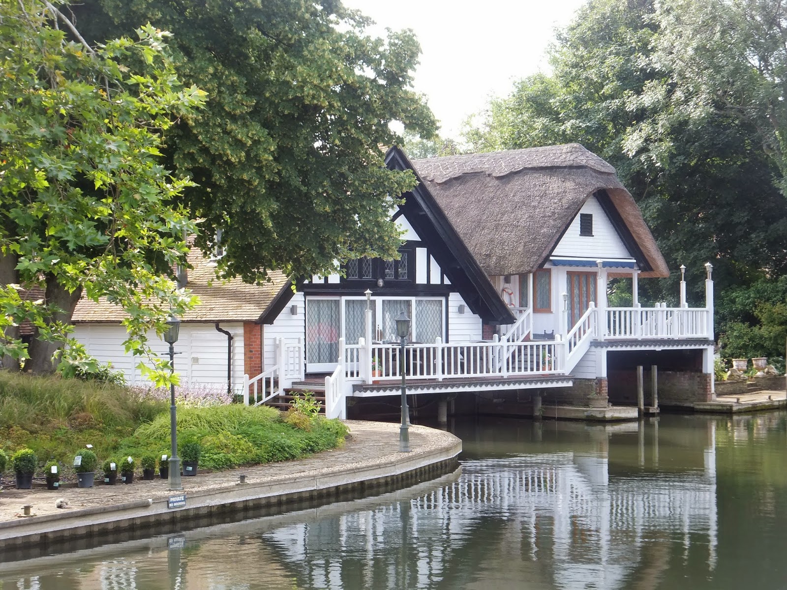 and Millie makes three Lower Shiplake Moorings (River Thames