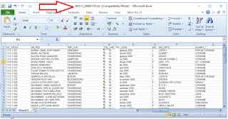 Edit Data CPUN Edit Data CPUN di Excel