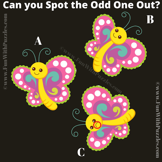Easy Odd One Out Kids Picture Riddle Answer