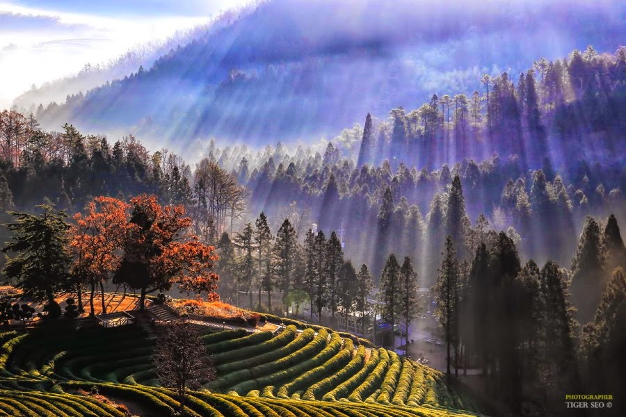 Impressive Landscape Photography by Tiger Seo
