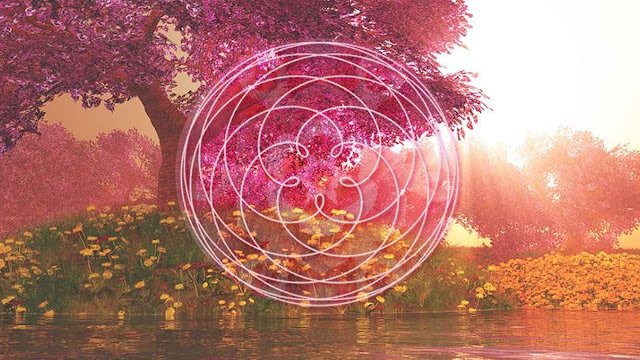 薔薇聖女團 薔薇聖女團