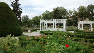 jardin flores timisoara rumania