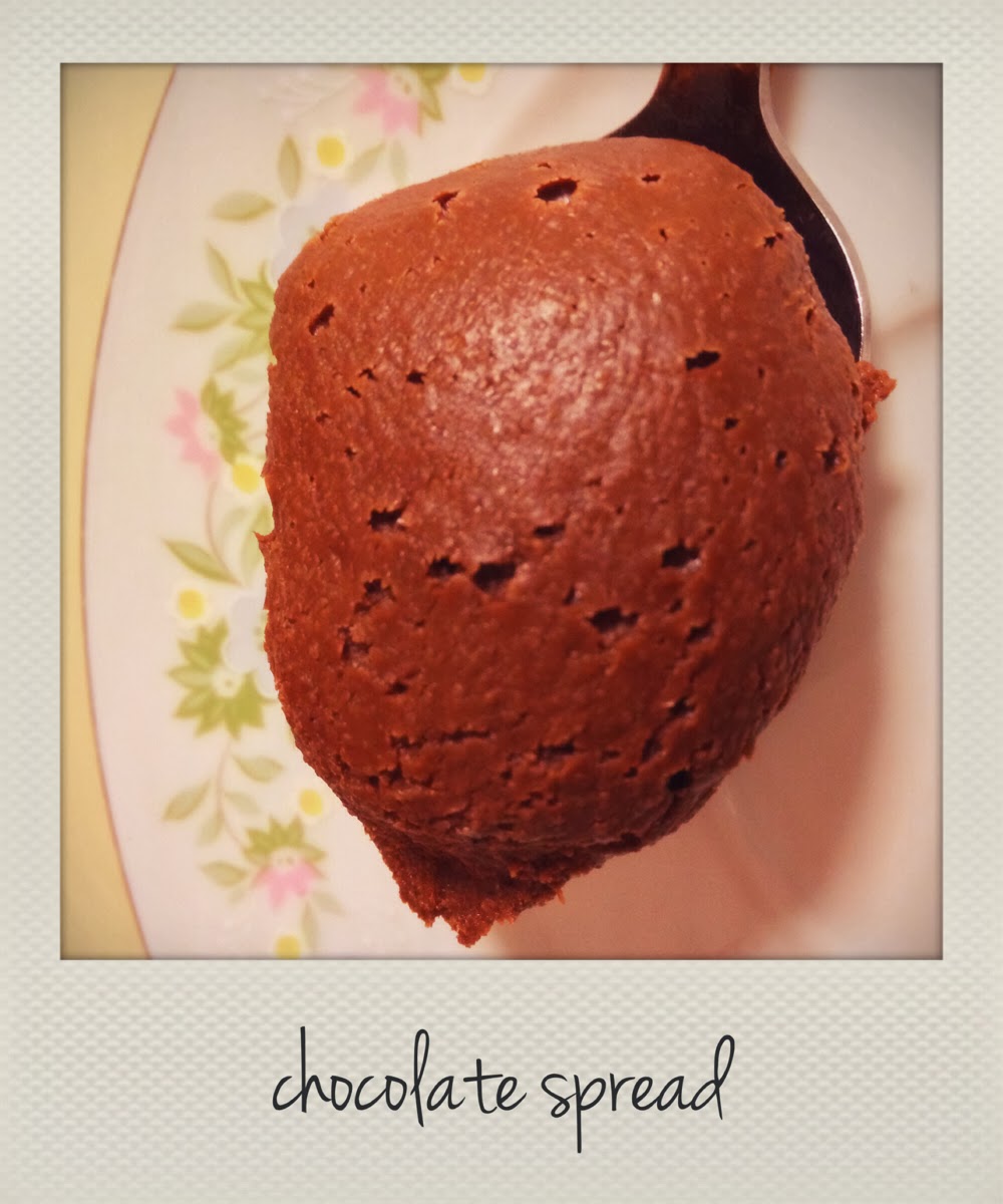 Sans Soy Peanut Butter & Co. Dark Chocolate Dreams