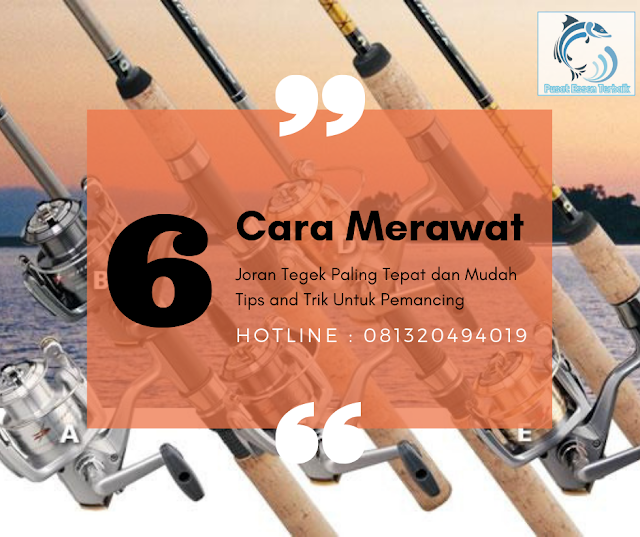 6 Cara Jitu Merawat Joran Tegek Paling Tepat dan Mudah