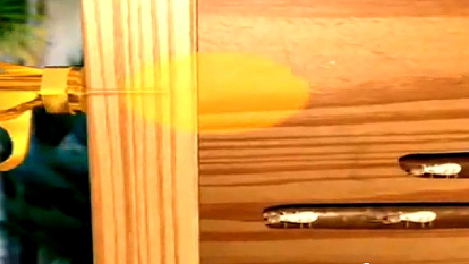 Orange Oil Termite Treatment Effectiveness Treat Choices