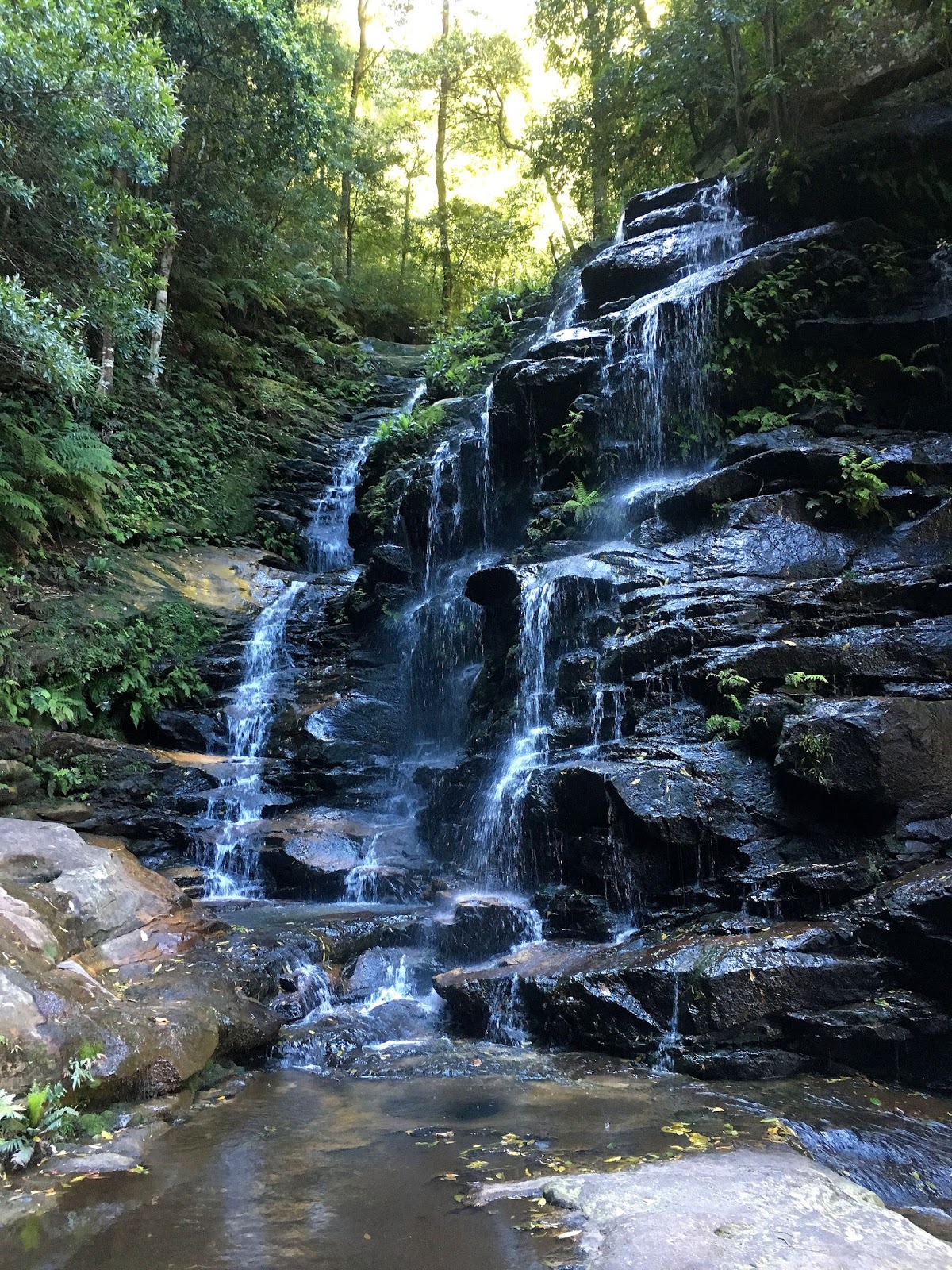 The National Pass track in the World Heritage listed Blue Mountains has been one of the most beautiful hiking trails I have seen. With the highest outdoor staircase and breathtaking views it's not to be missed!