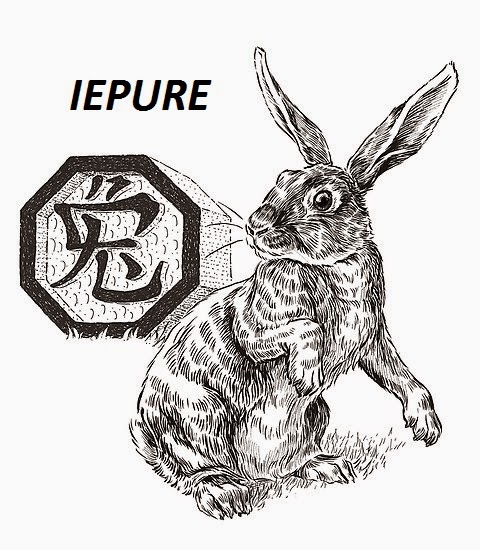iepurele horoscop chinezesc