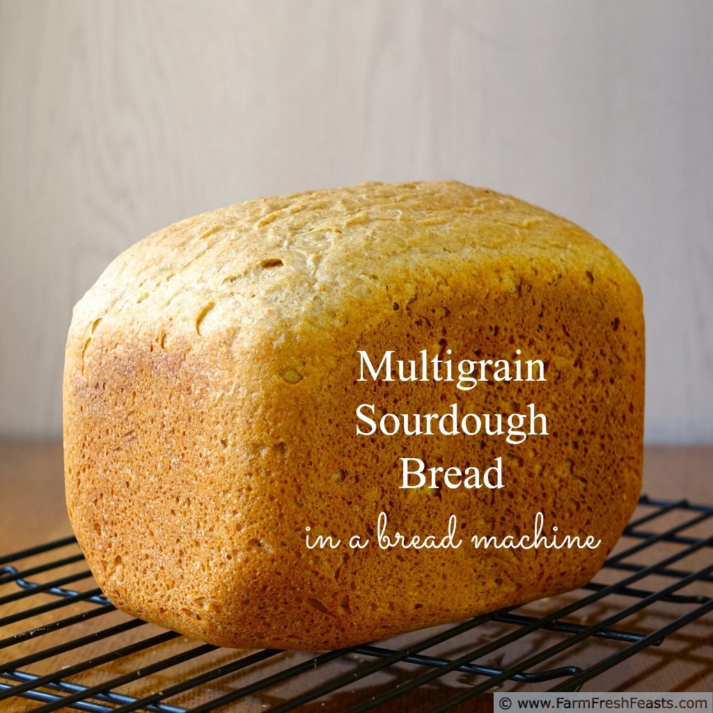 Farm Fresh Feasts Multigrain Sourdough Bread (in a bread machine)