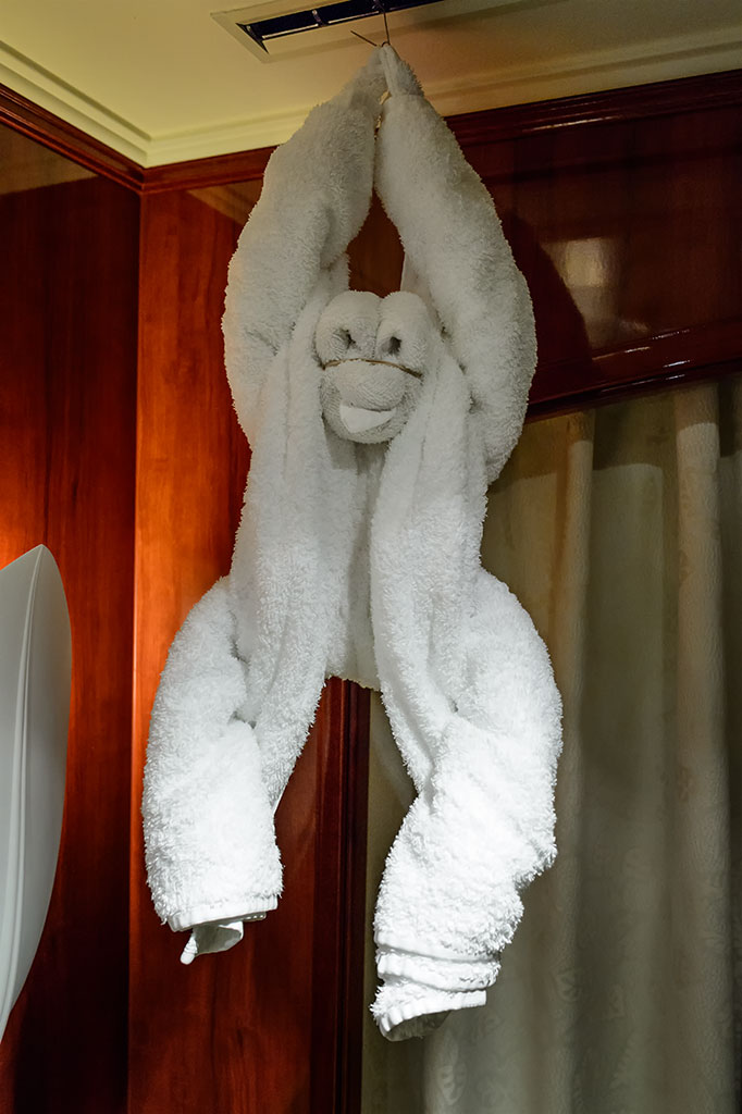 A Towel Monkey Hangs from the Vents Aboard the Norwegian Pearl