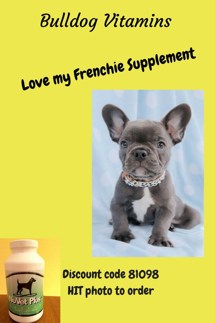 I love My Dog; Natural Pet Health, English and French