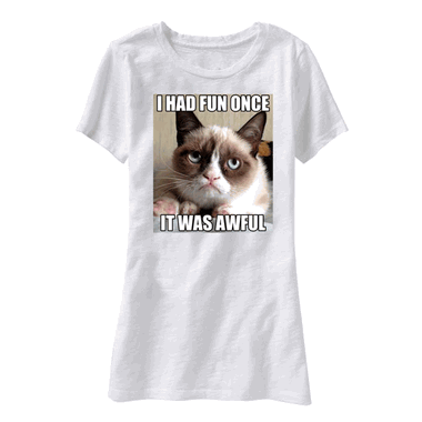 How to become a Professional Knitter - Robin Hunter Designs: Grumpy Cat