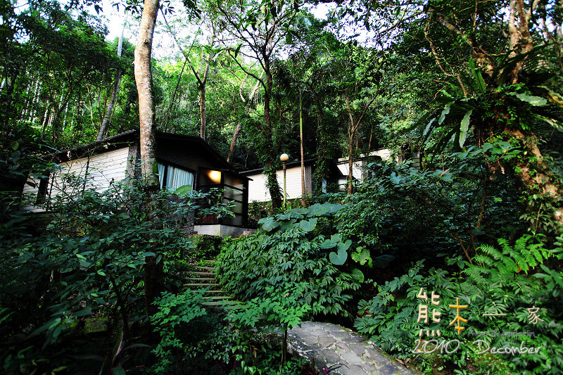 三峽溫泉旅館|大板根森林溫泉渡假村|新北市大板根森林|三峽露天溫泉