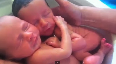 Gemelos recién nacidos se abrazan