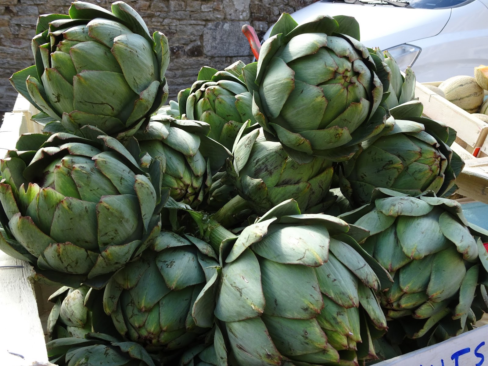 The French Tangerine moelan sur mer