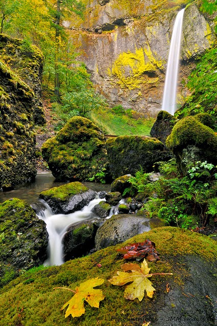 Stunning Elowah Falls, Columbia River Gorge, Oregon, USA Stunning Elowah Falls, Columbia River Gorge, Oregon, USA