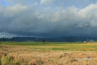 roong tondano minahasa sulawesi utara