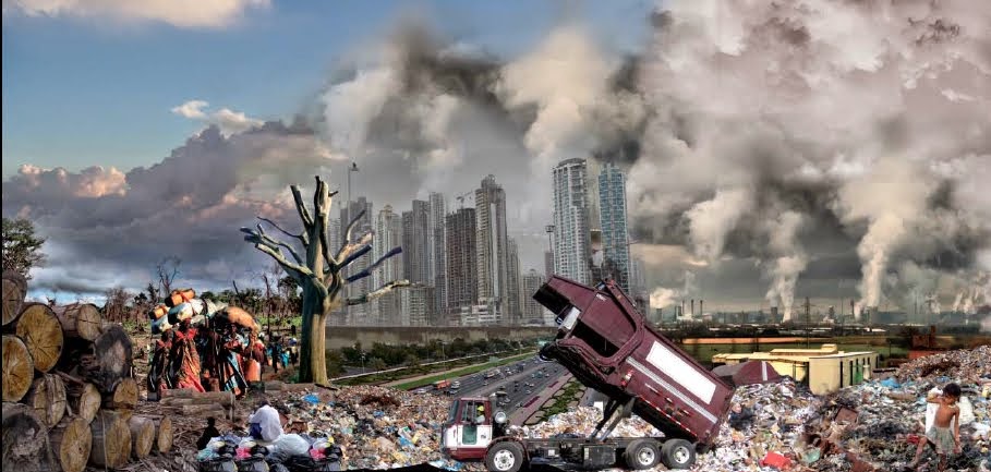 PÉRDIDA DE BIODIVERSIDAD ~ Mundo Ecológico