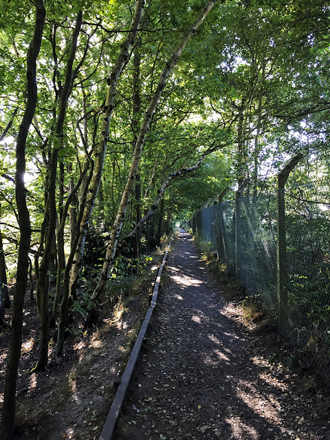 Railside path. Walk around the Hawkwood Estate 11, 30 August 2016. Railside path. Walk around the Hawkwood Estate 11, 30 August 2016.