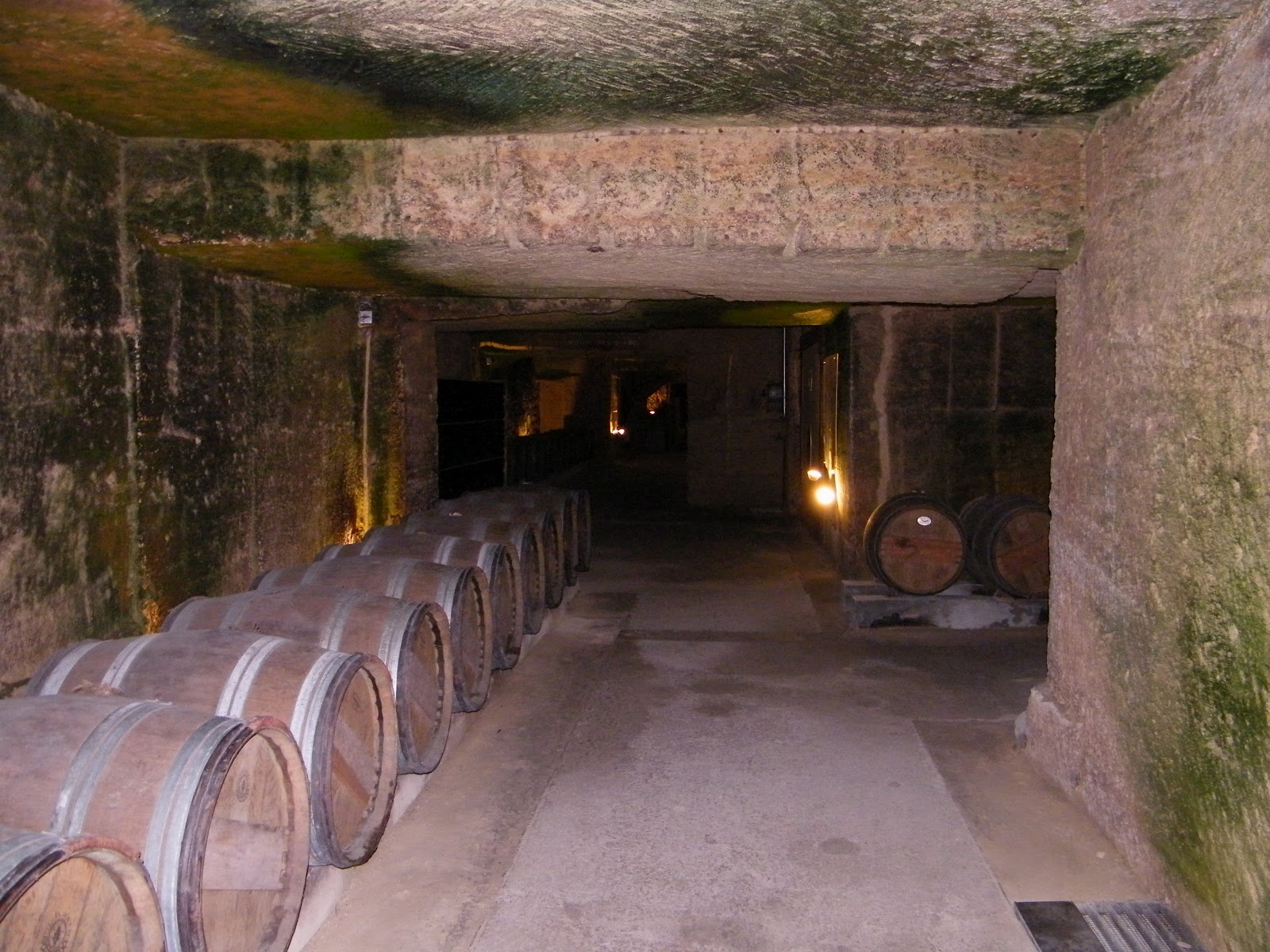 A cellar wine to admire! Life in Luxembourg