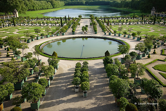 orangerie du château de versailles © Laura Prospero