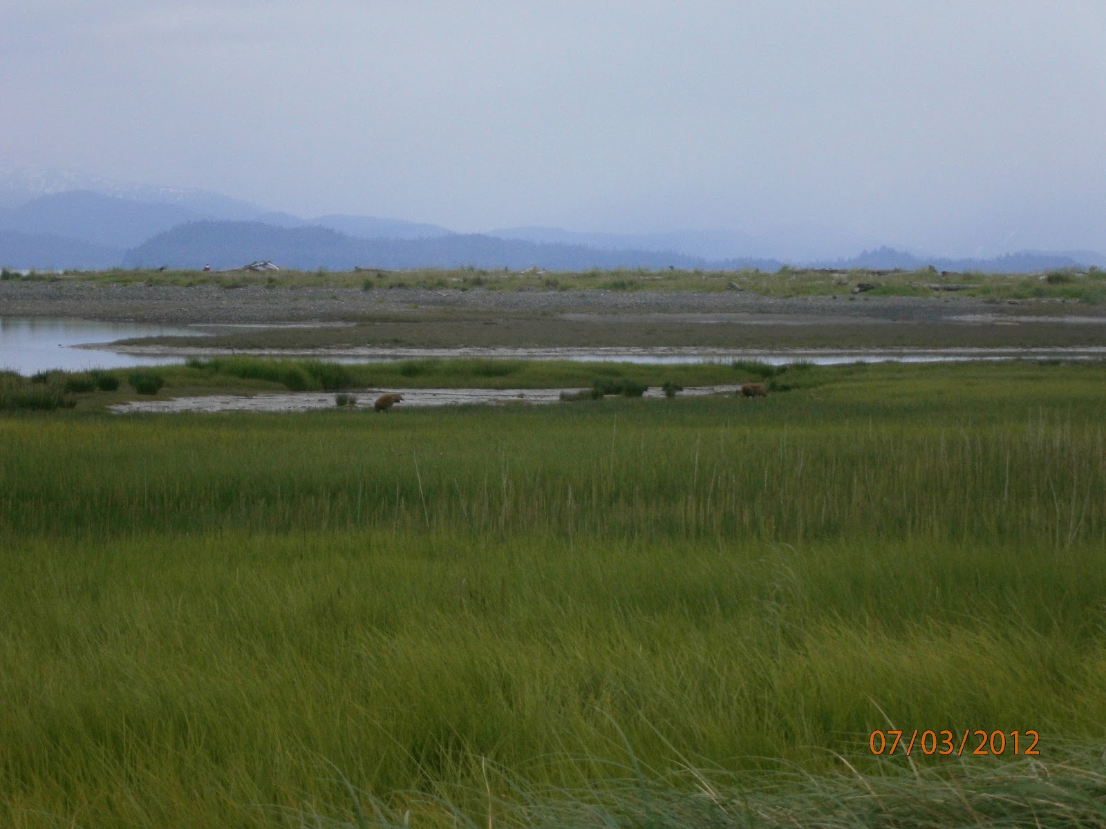 The Alaska Trip Estuary walk at Kachemak Bay