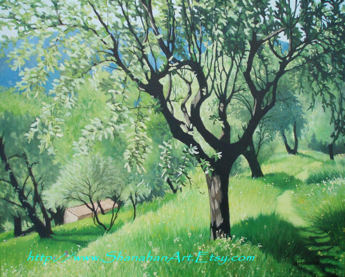 Olive Grove -- Sold February 2024 --- for Euro 630