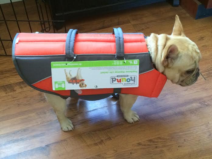the french dog humiliation knows no bounds