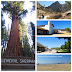 California on the road: itinerario in camper (seconda parte)