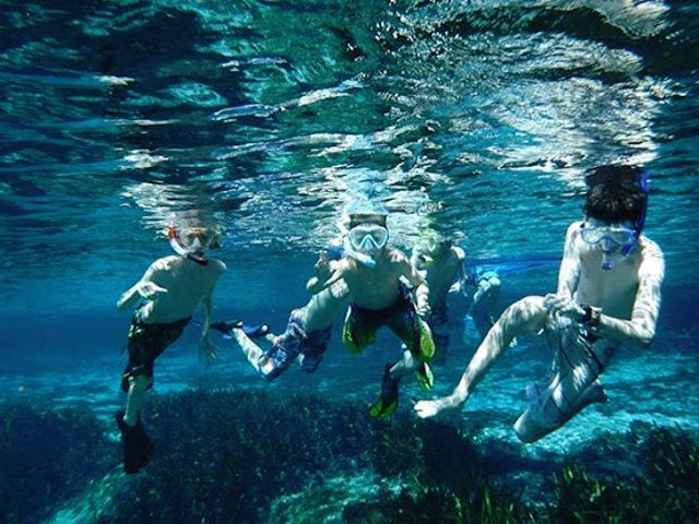Fort Lauderdale Snorkeling Tours Fort Lauderdale Snorkeling Tours