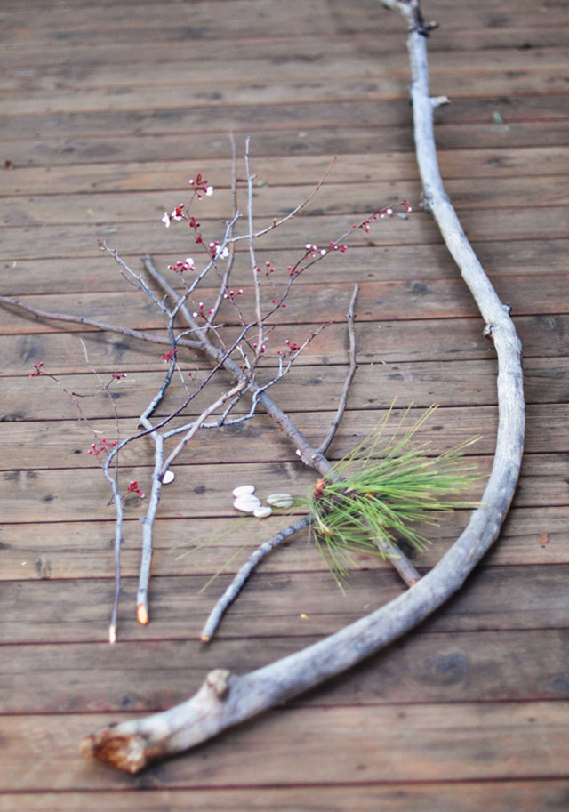 found branches for decor