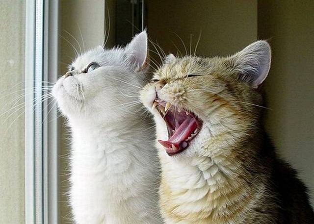 RM+Picdump+-+039.jpg