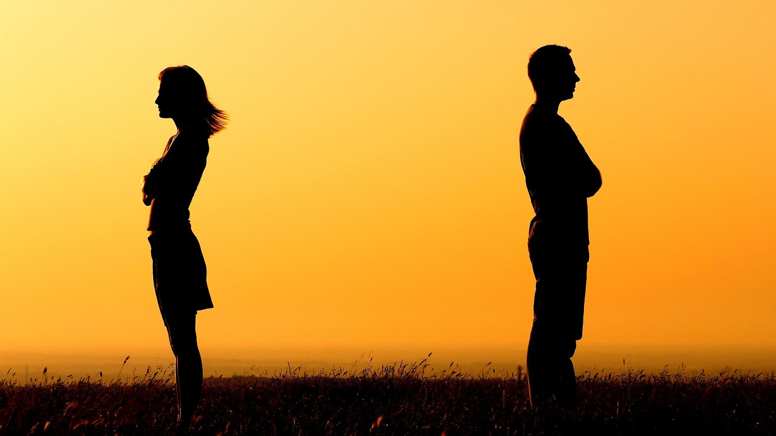 Robert Stephan Cohen Divorce Divorces Choices