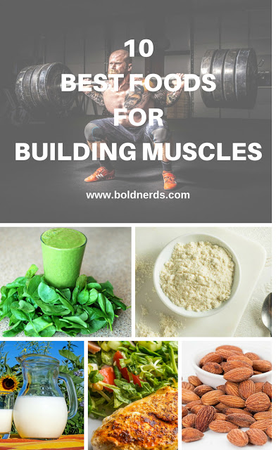 10 Best Foods for Building Lean Muscles 10 Best Foods for Building Lean Muscles