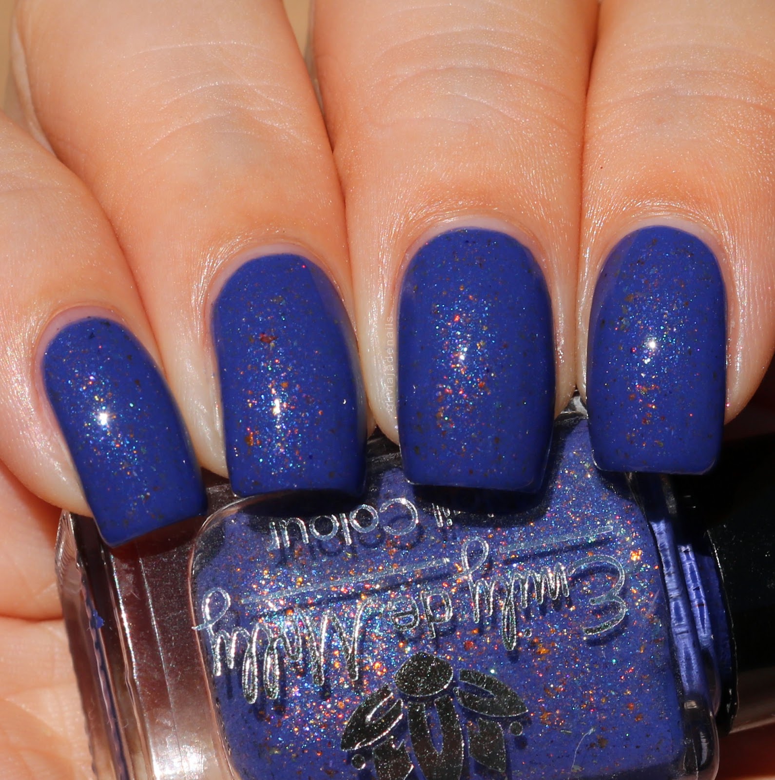 Emily de Molly LE62 swatched by Olivia Jade Nails
