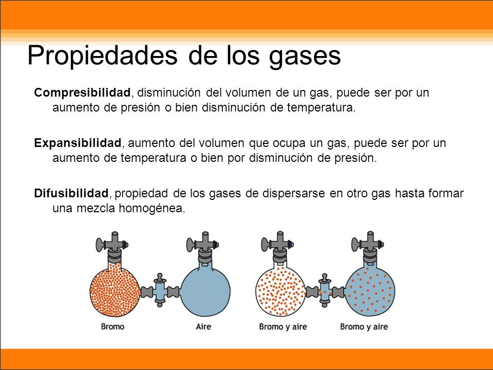 7º Básico 7º Básico