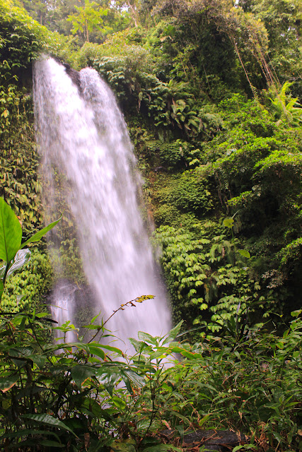 yumantoko-lingkungan nature pemandangan alam natural