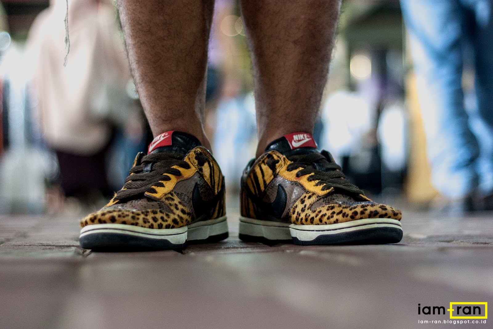 nike dunk beast pack