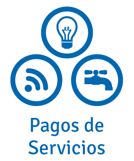PAGO DE SERVICIOS visual data 6