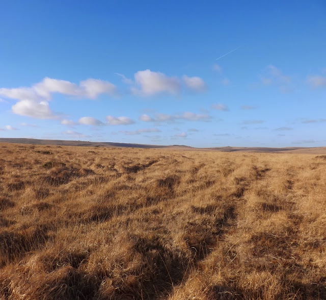 Dartmoor Ramblings TOURETTE SYNDROME