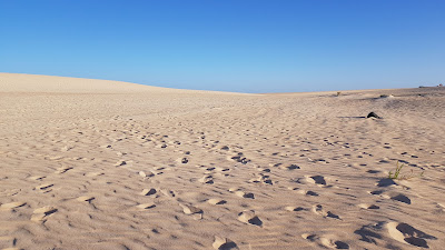 dune corralejo