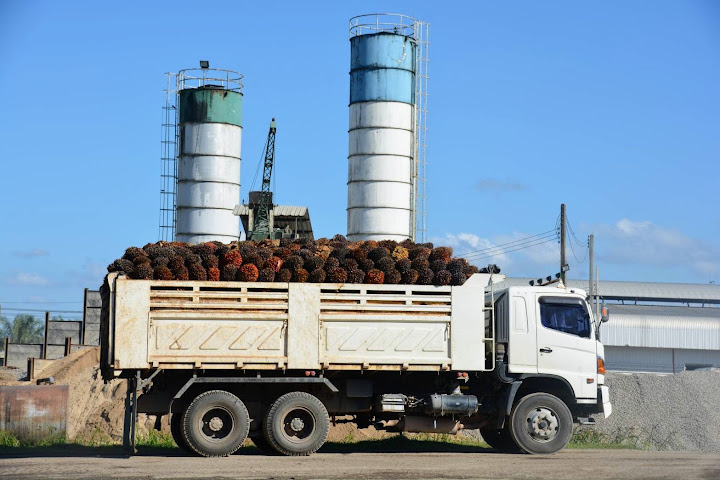 First palm oil purchase contract to be signed tomorrow