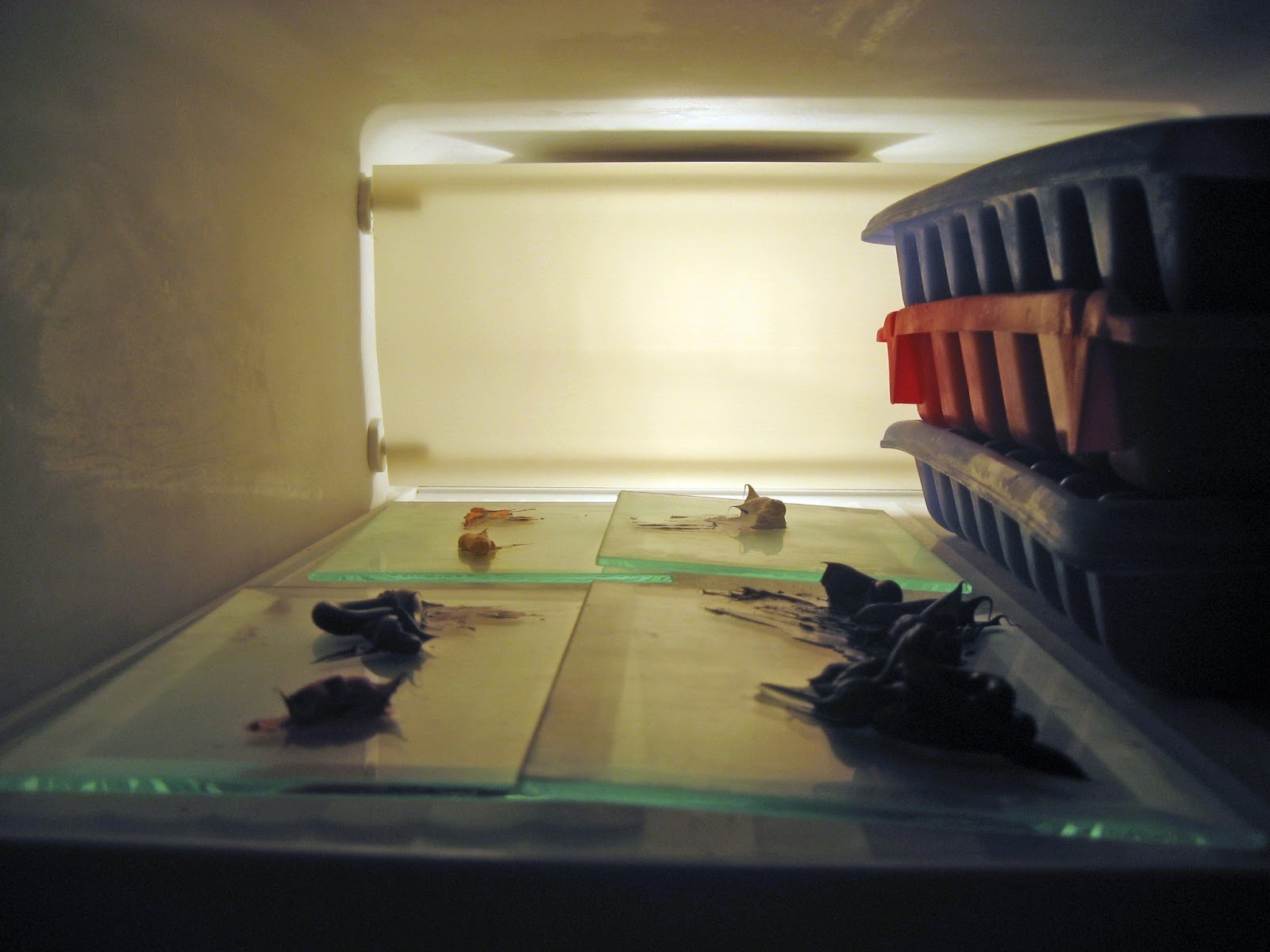 Katherine Kean Fine Art Keeping Stored Oil Paint Fresh for the Palette