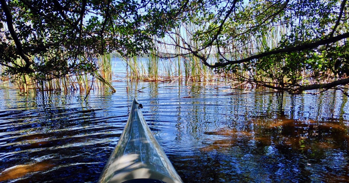 Planing Around Lake Tarpon