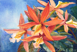 flowers orange watercolor orchid tropical painting paintings oil