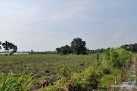 petilasan calon arang