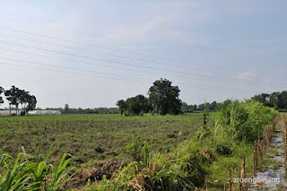 petilasan calon arang kediri